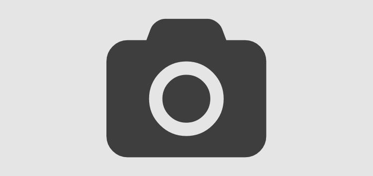 Sixth Article